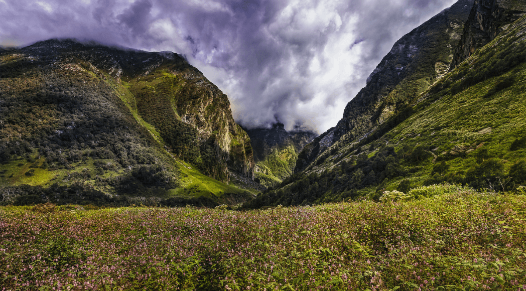 Valley-of-Flowers