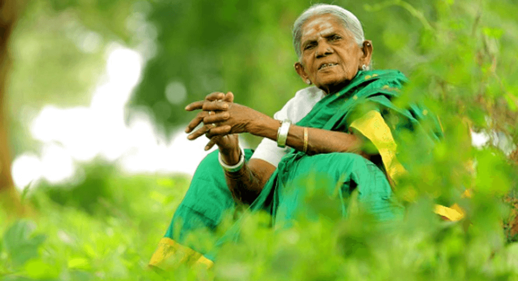 Saalumarada Thimmakka