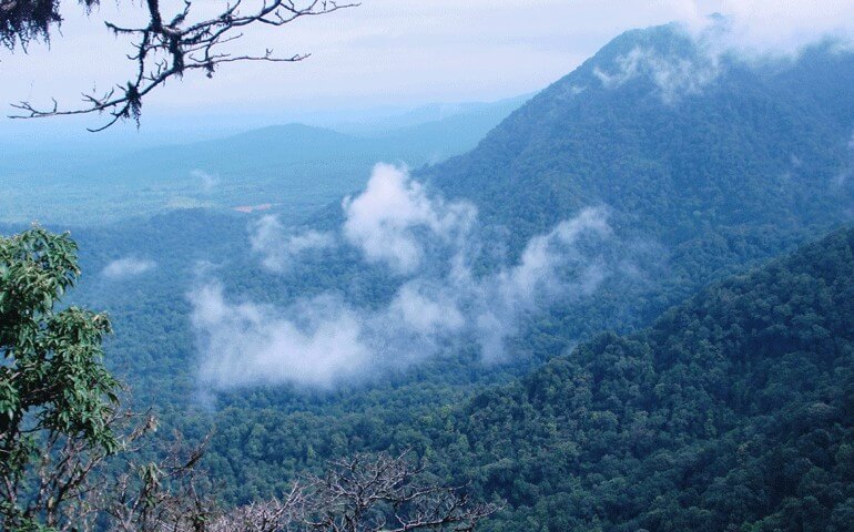 Agumbe-Hill-Stations-Near-Bangalore-within-400-kms