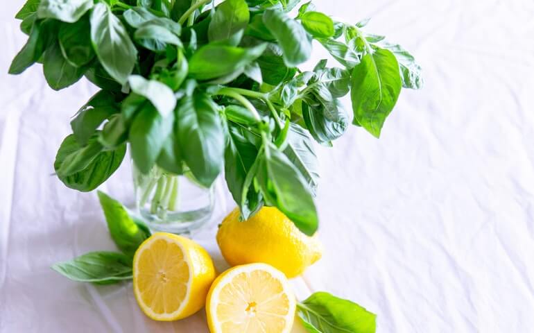 Lemon for healthy immune