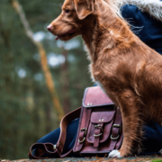 15 Best messenger bags for women 2021