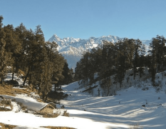 Dayara Bugyal Trek Guide 2024: Highlights, Best Time and Itinerary