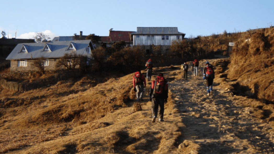 Singalila Trek Guide 2024: History, Highlights, Best Time To Visit ...