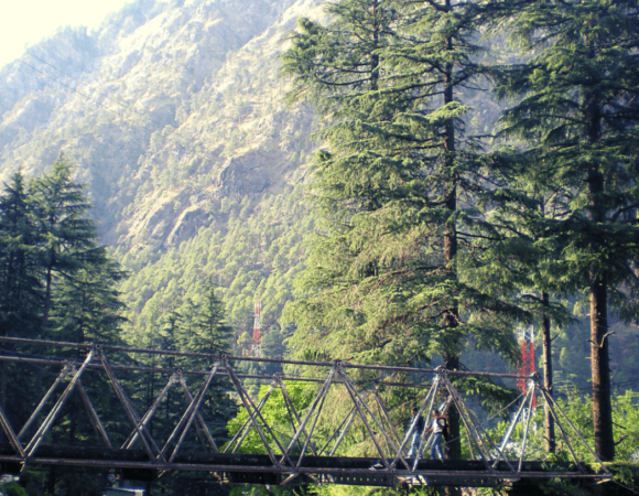 Delhi To Kasol Distance, Places to Visit, Connectivity & FAQ’s