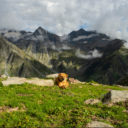 Thamsar Pass Trek - Featured Image