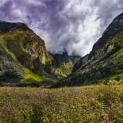 Valley of Flowers - Featured Image