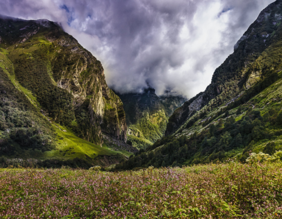 Valley Of Flowers Trek Guide 2024: History, Highlights, Best Time, How to Reach, and Itinerary