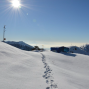 Triund Trek - Featured Image