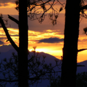 Delhi To Almora Distance - Featured Image