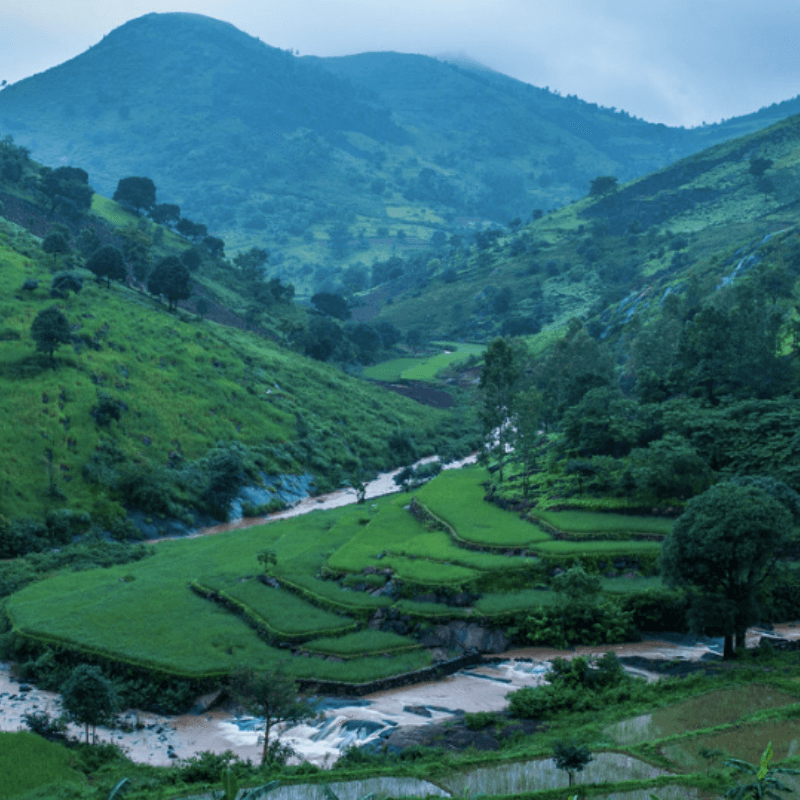 Araku Tourist Places, History, Things To Do, Places To Visit, How To ...