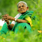 Saalumarada Thimmakka - Featured Image