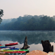 Delhi To Dandeli Distance - Featured Image