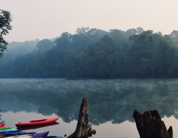 Delhi To Dandeli Distance, Connectivity, Places to Visit & FAQ’s