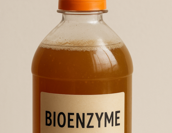 Bioenzyme The Nature’s Magic Cleaner