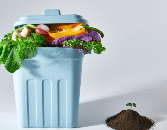 How to Make Compost from Kitchen Waste