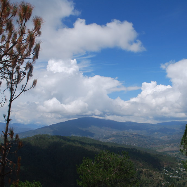 Binsar Trek