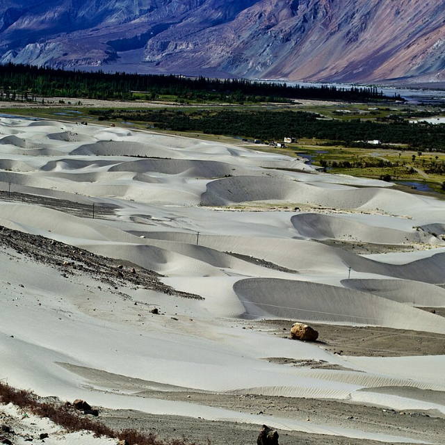Nubra Sand Dunes