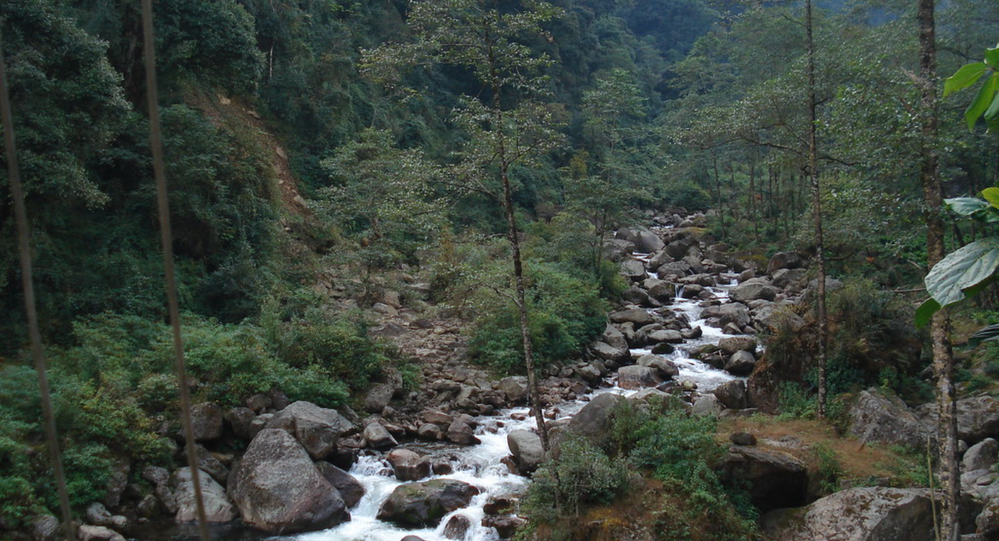 Trek from Gurdum to Sepi. Drive from Sepi back to NJP Railway Station / Bagdogra Airport