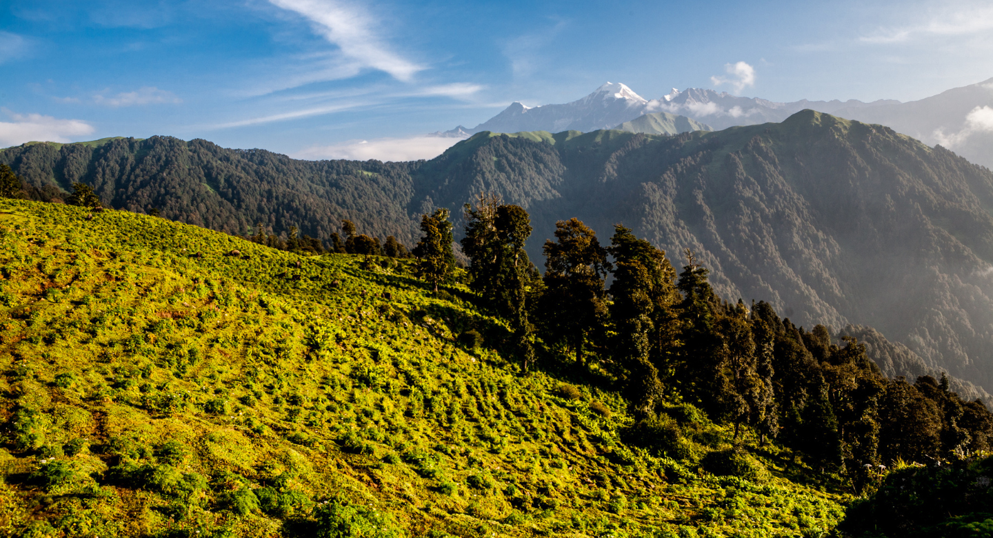 Dayara Bugyal Trek