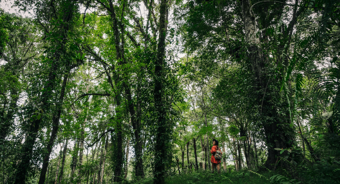 Nature-enthusiast-Trekker-in-the-mountains