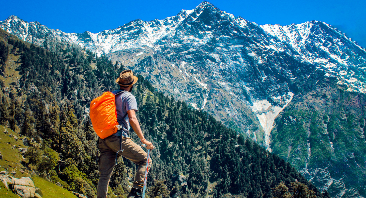 The Nature Enthusiast Trekker