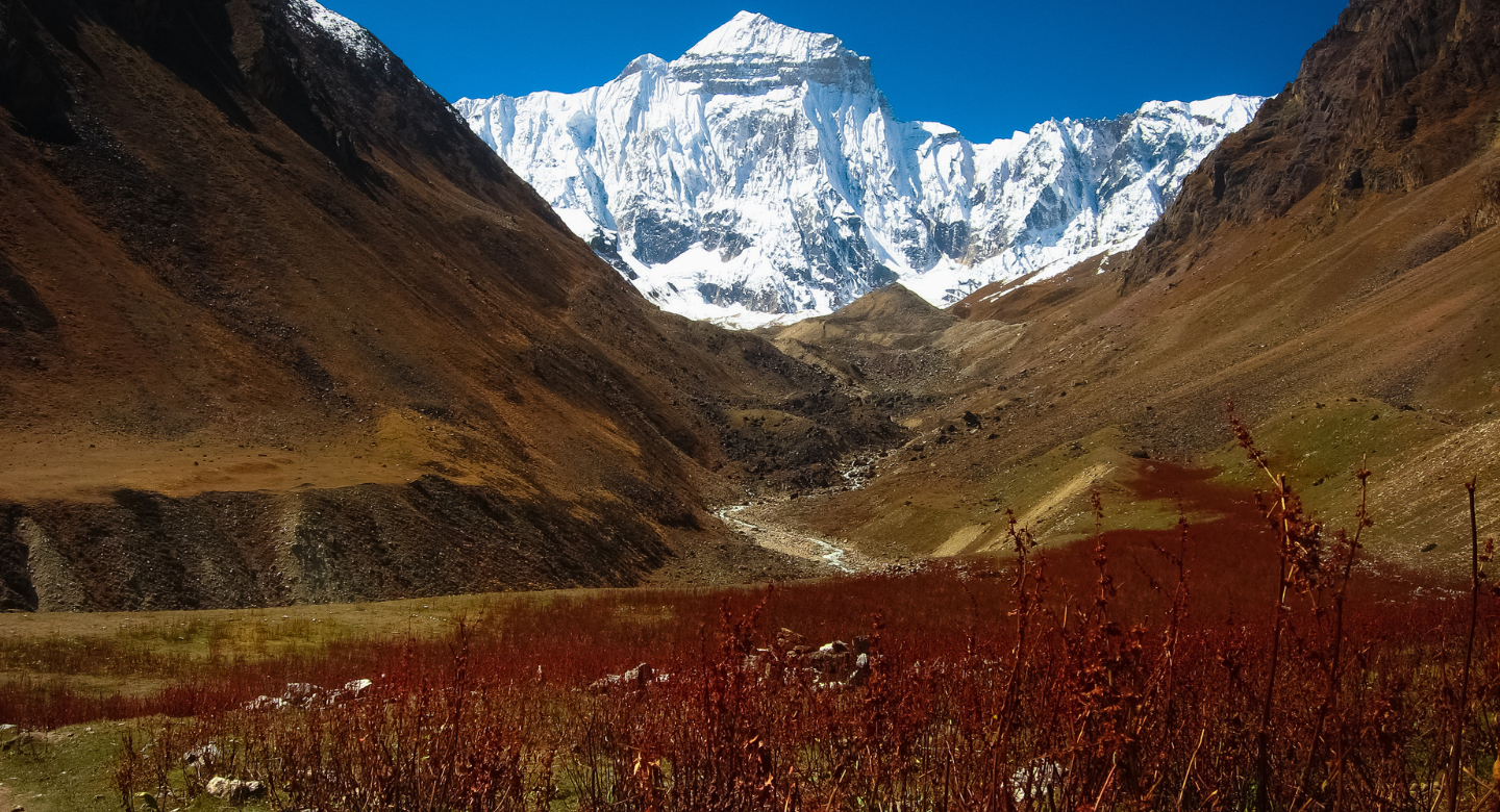 Adi Kailash Trek