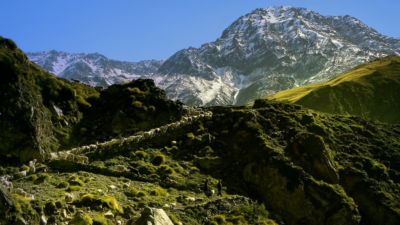 Bugdiyar to Rilkot