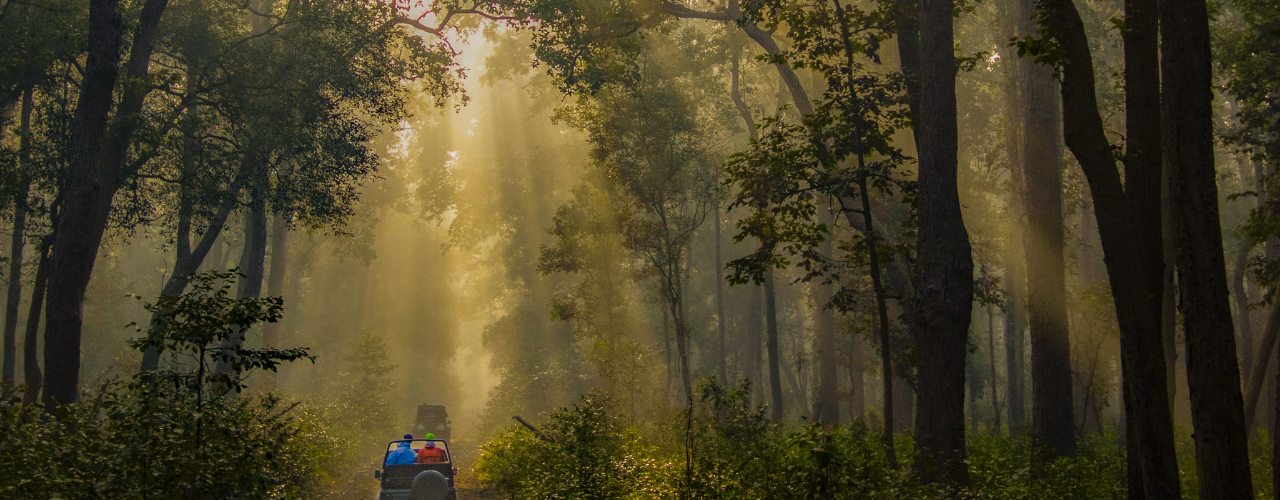 Jim Corbett National Park