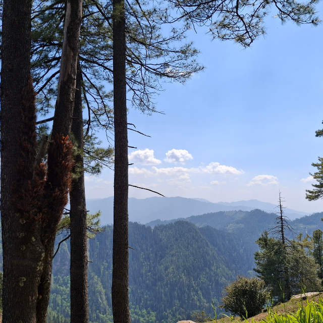 Sarikanda Trek
