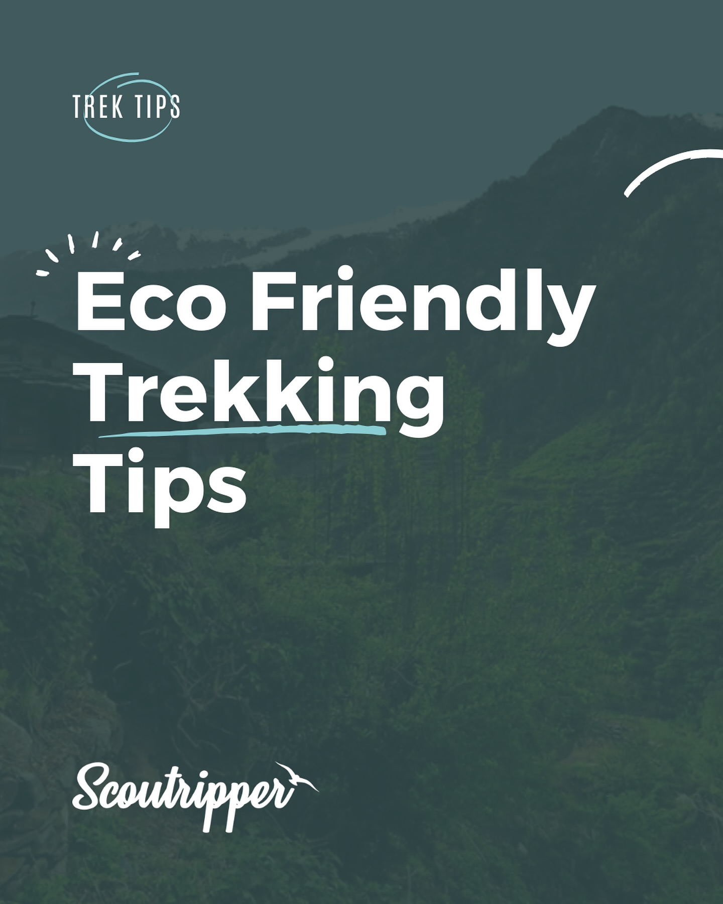 Eco-Friendly Trekking Tips