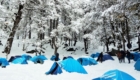 Kuari Pass Camping