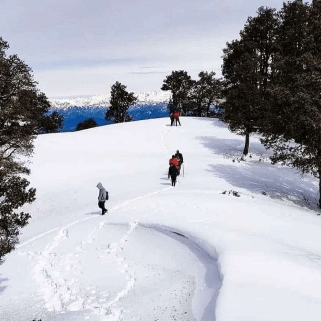 Nag Tibba Trek Guide 2022: History, Highlights, Best Time, How to Reach and Itinerary