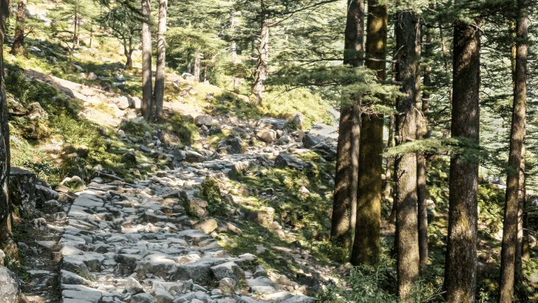 triund trek without guide